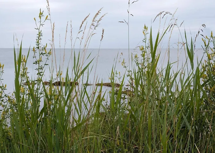 펜션 6 Person In Juelsminde-by Traum